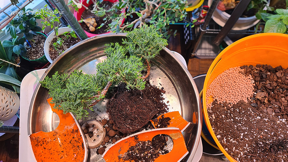 [Image: 20260304-123027.jpg]