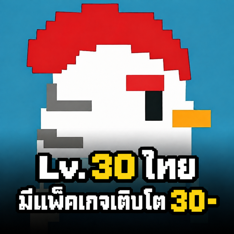 ไก่โค้ดLv.30ไทยมีแพ็คเกจเติบโต