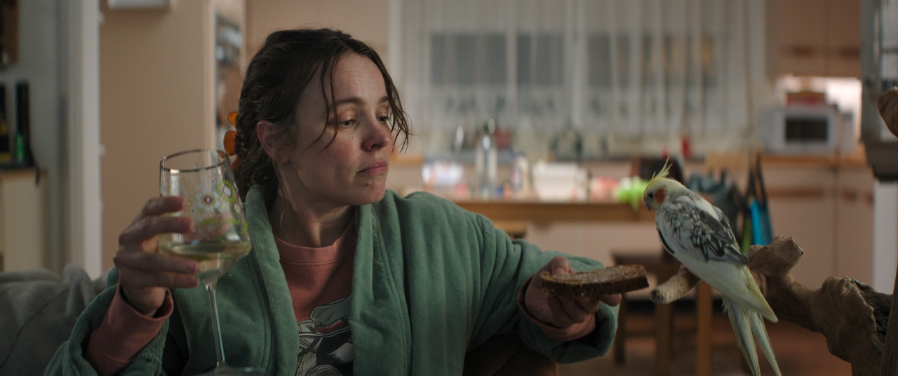 Send Help 2026 DUB BDRip 1080p x264 sele Zen mkv snapshot 00 05 06 348