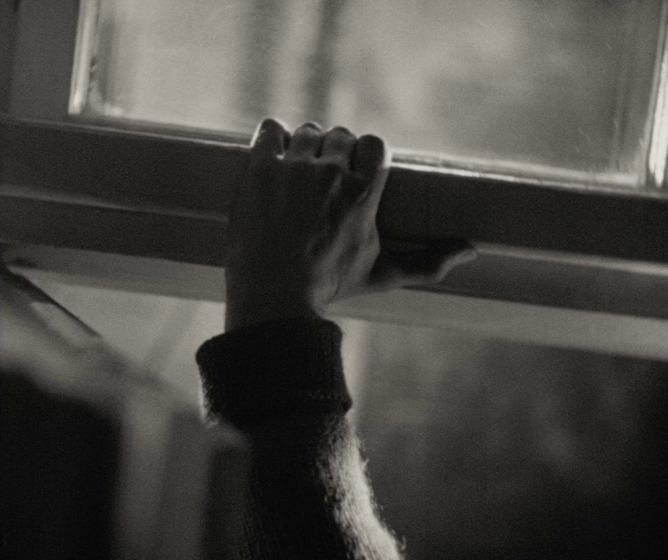 vlcsnap-2025-01-14-17h01m04s312