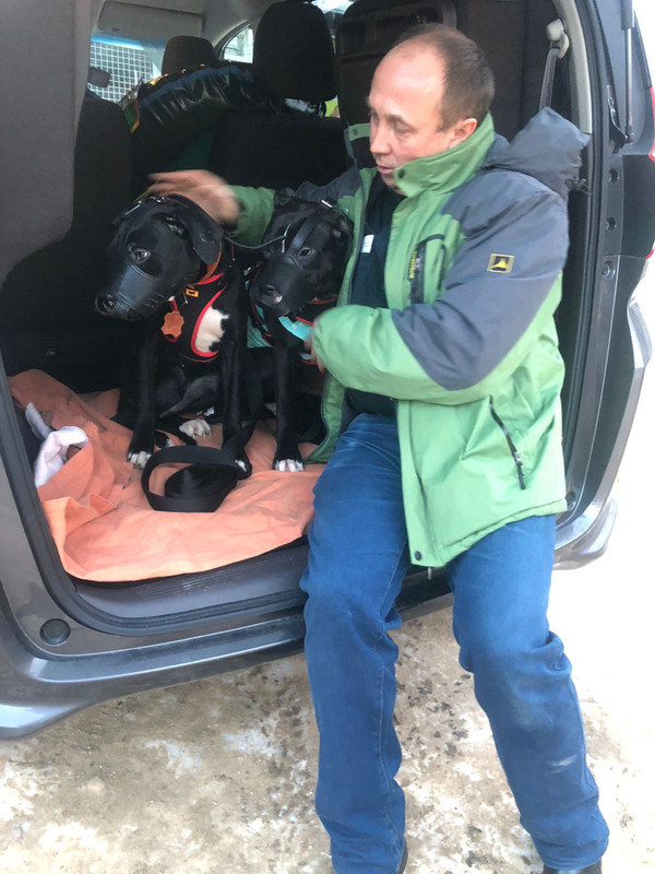 947FB495-A72F-4274-A1FC-8EBD5090D58E