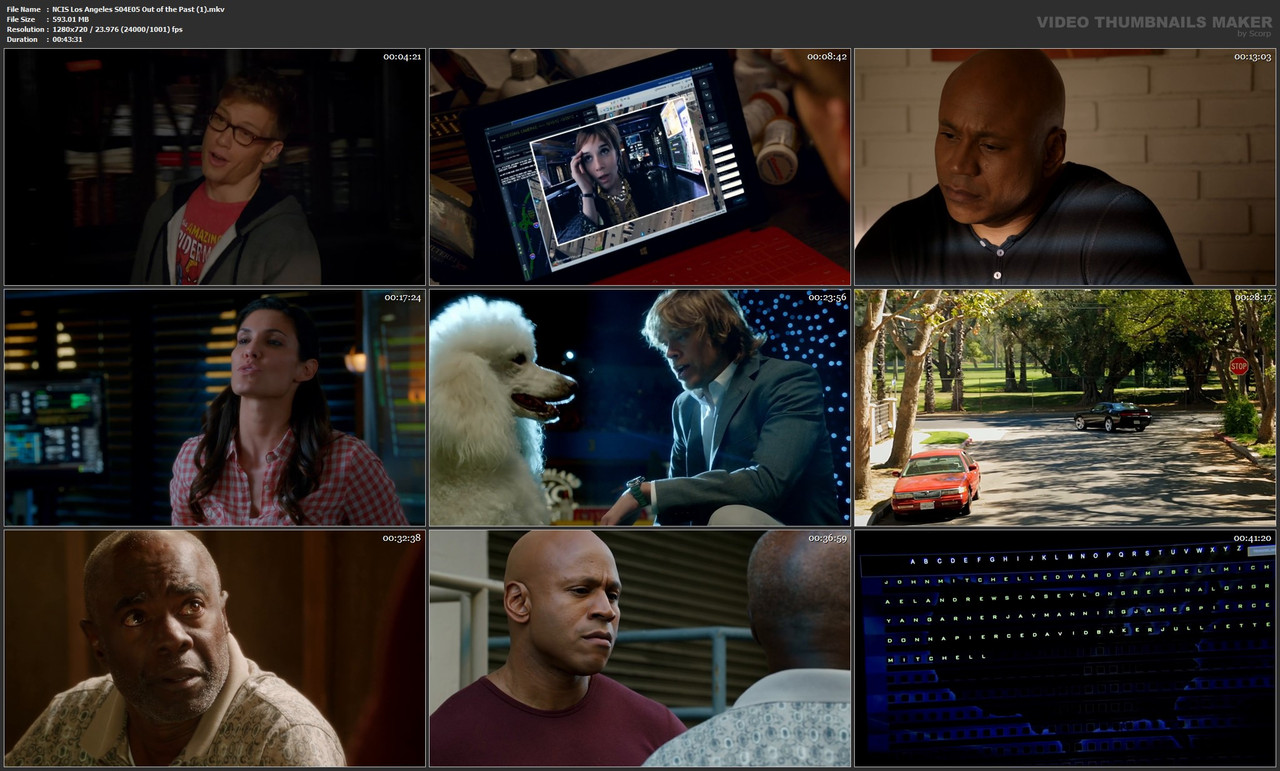 NCIS Los Angeles S04E05 Out of the Past (1).mkv