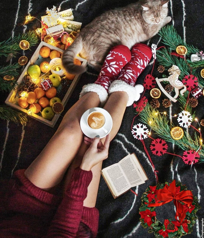 Screenshot_20231210_162658_Instagram