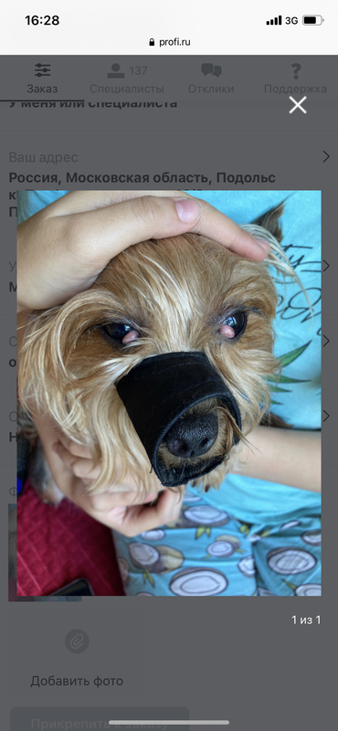 AE4BBCD7-7F7E-40B6-BE6B-131399E772D0