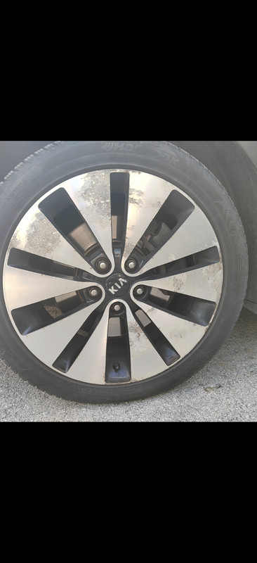 Screenshot 20260228 191351 com hihonor photos Slot Album Activity