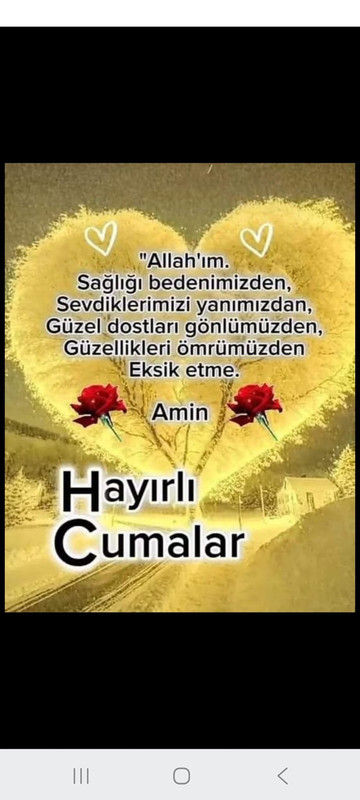 WhatsApp Bild 2025-06-13 um 12.13.03_b6948914