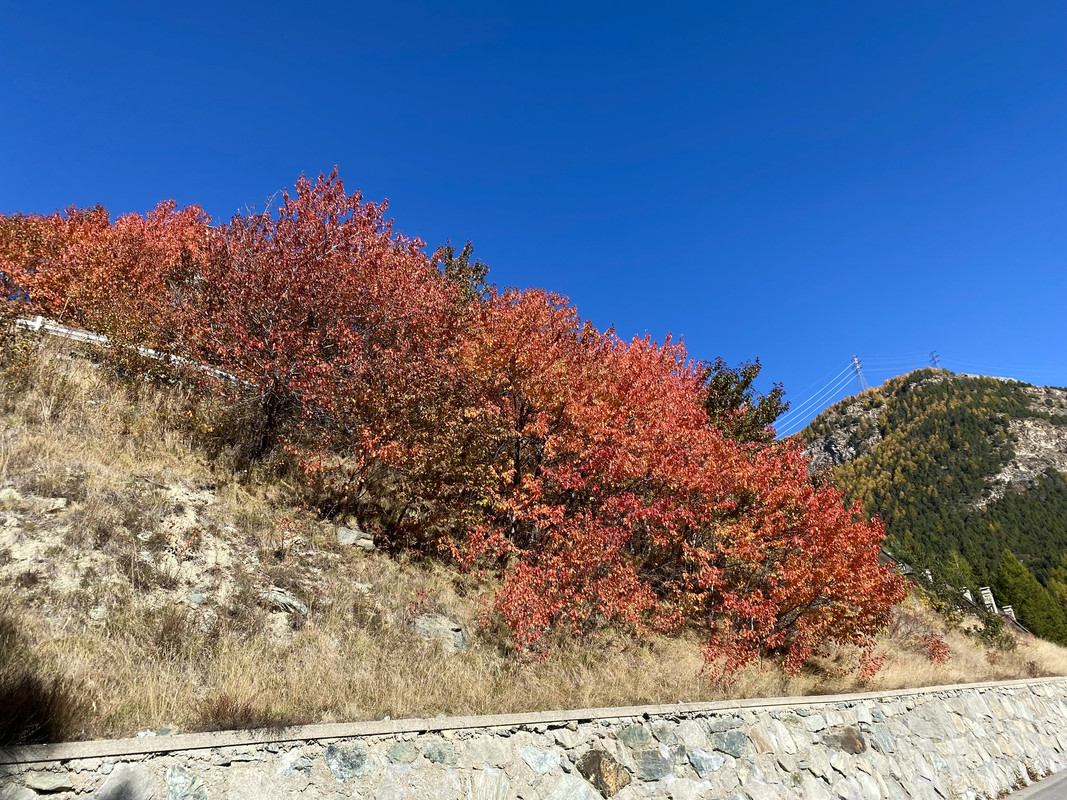 0B991E6E-72C5-4C27-B551-B8E7558BF841