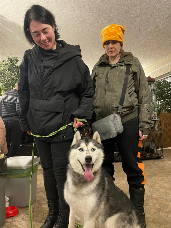 FE9435B4-C8CD-482C-B8D1-762398706DDE