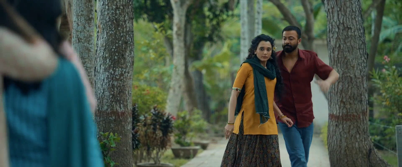 vlcsnap-2025-08-11-17h43m32s663