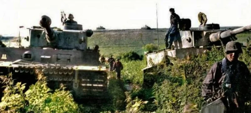 Tiger-tanks-with-Panzergrenadiers-push-through-natural-obstacles-at-the-battle-of-Kursk.webp