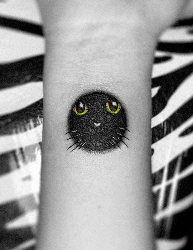 Cats-18