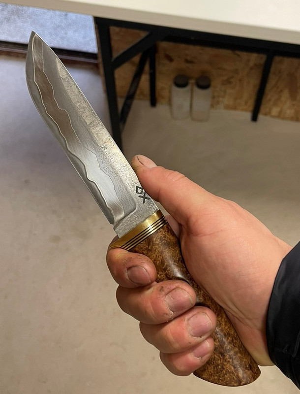 IMG ea337a8012a66f543a49f15eb3600398 V