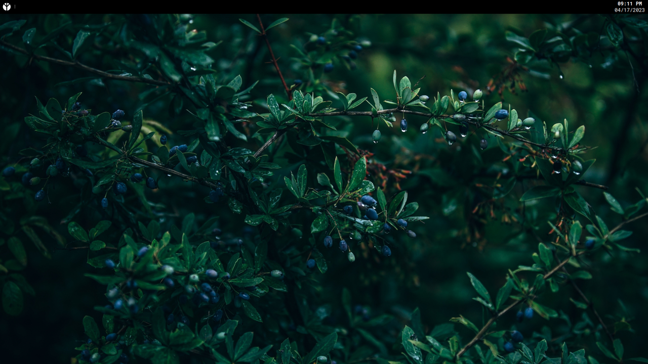 A screenshot from my Artix MetaDistribution r/artixlinux