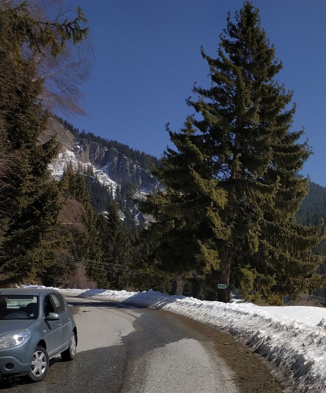 IMG_20220325_121324 - 1