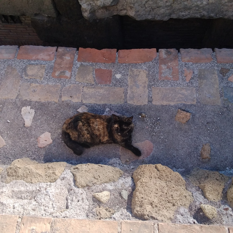 La mia vita. Римские записки, дневник онлайн La mia vita. Римские записки, дневник онлайн