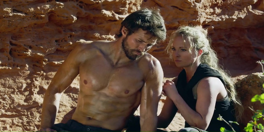 Survivor 2014 WebRip [Hindi + Tamil + Telugu + English] 480p, 720p Screenshot