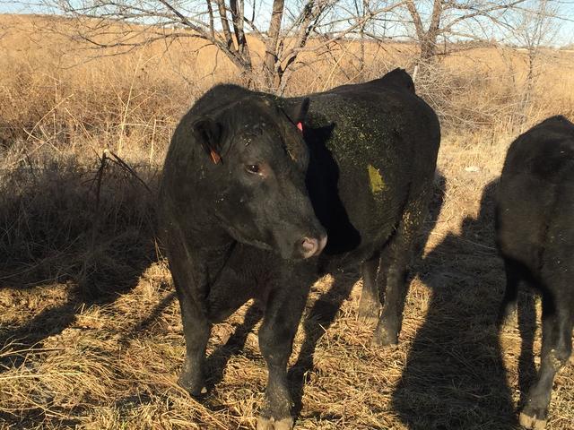 C57E840D-CC5D-4B0C-9C63-451E46765115