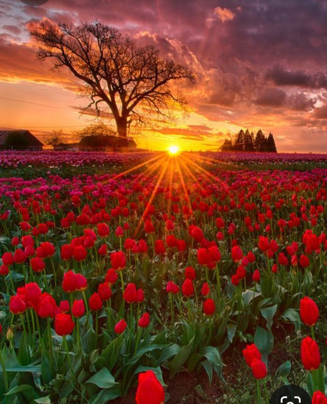 Screenshot_20230512_225406_Pinterest