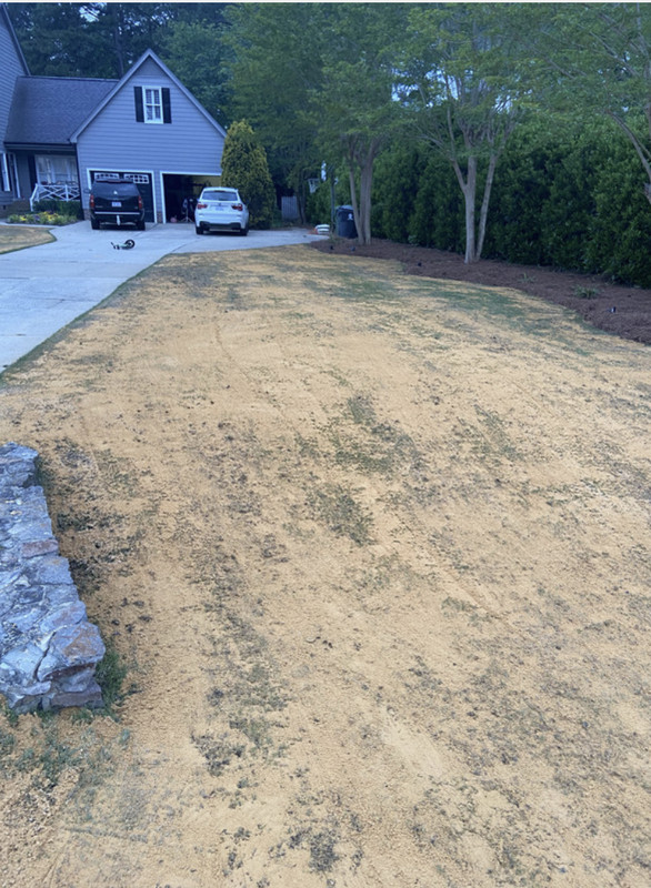 E0B9FE81-858B-4BC5-8893-58221750FB11