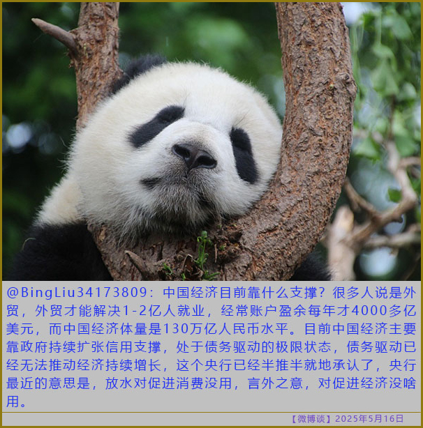 https://i.postimg.cc/4yzPHN2k/20250516-bt-4.jpg