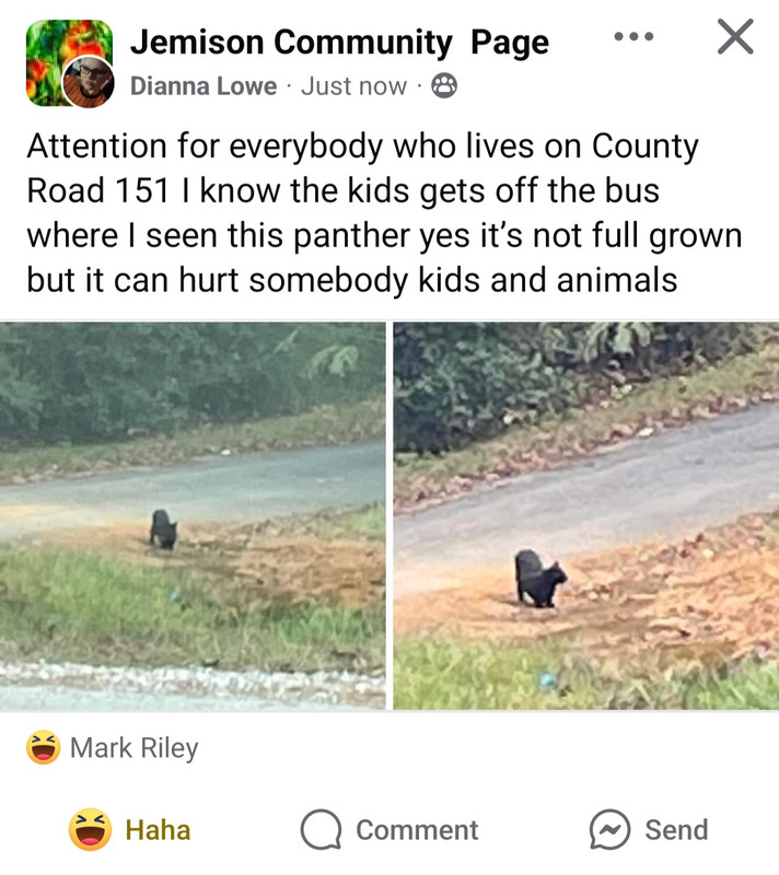 Screenshot_20241106_134149_Facebook