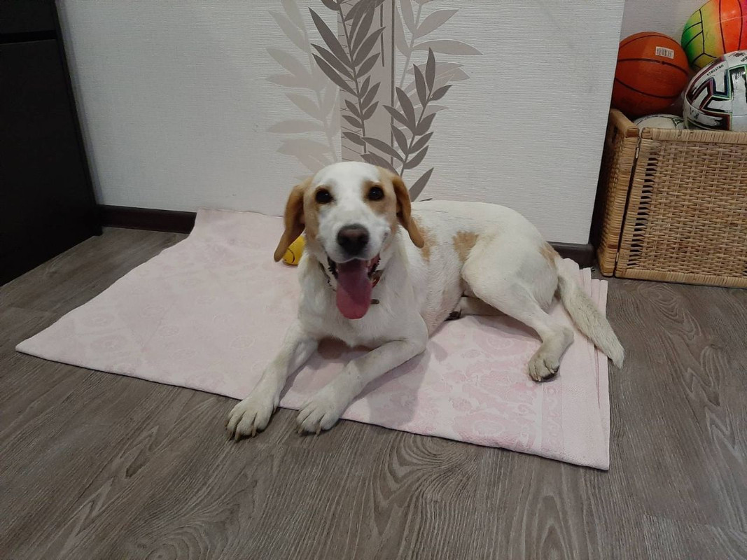 1287C9C2-C5FB-4B2F-8DB5-B7456E5598DF