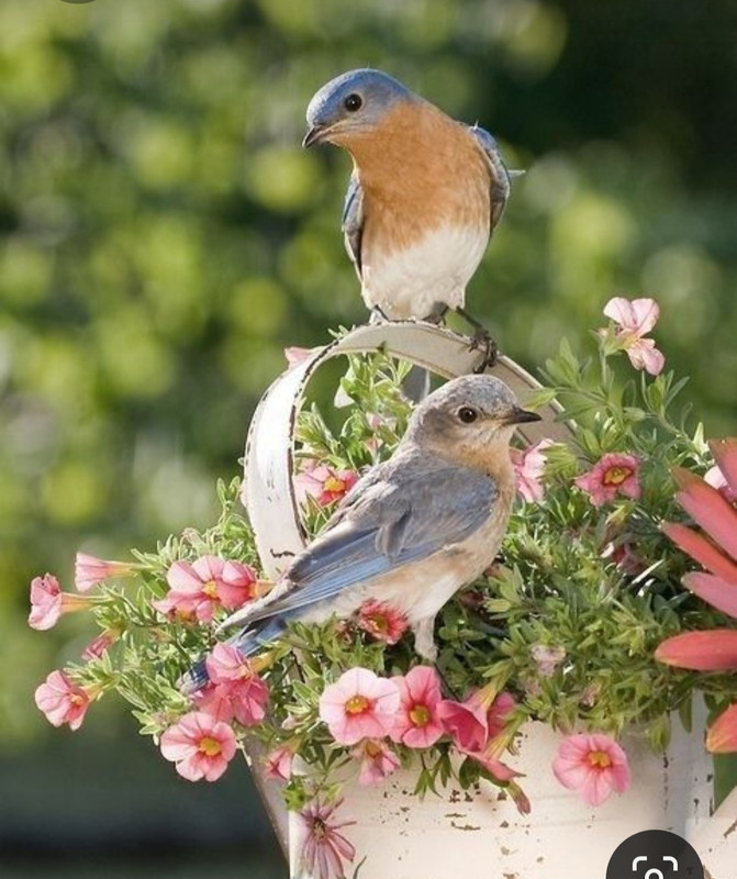 Screenshot_20230924_231010_Pinterest