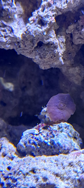 изображение_viber_2020-09-30_13-29-22