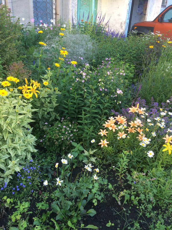 CDD6E931-9EE1-456B-A2AF-71ED854288FB