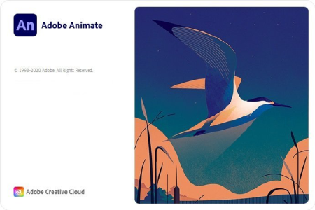 Adobe Animate 2021 v21.0.9.42677 (x64) Multilingual