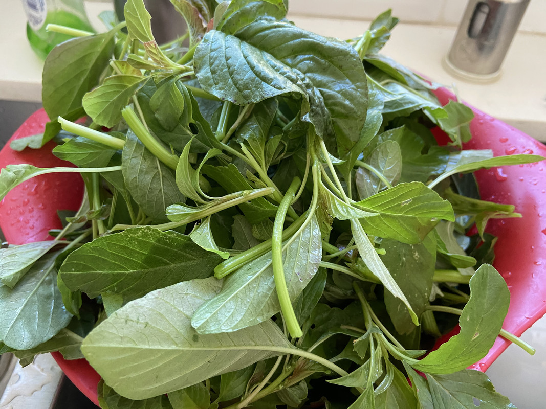 294A1CE4-39B1-41B3-BC28-1B65464A0EC0