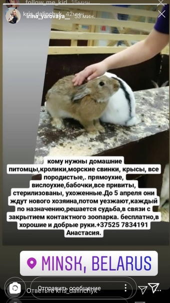 contact zoo animals SOS