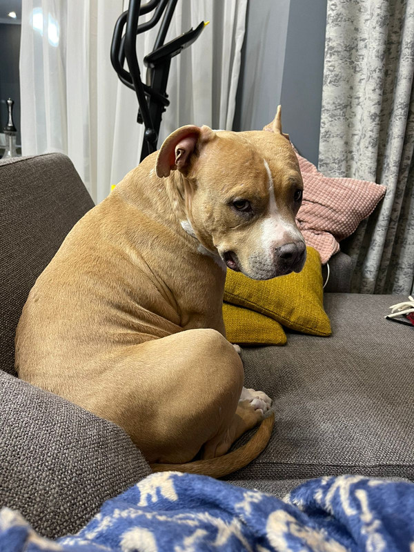 CE2AAF86-2B2B-43AB-9704-4025FAB1E61B