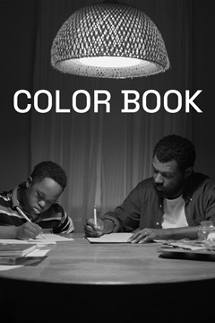 Color Book 2024 480p WEB-DL x264-TFPDL