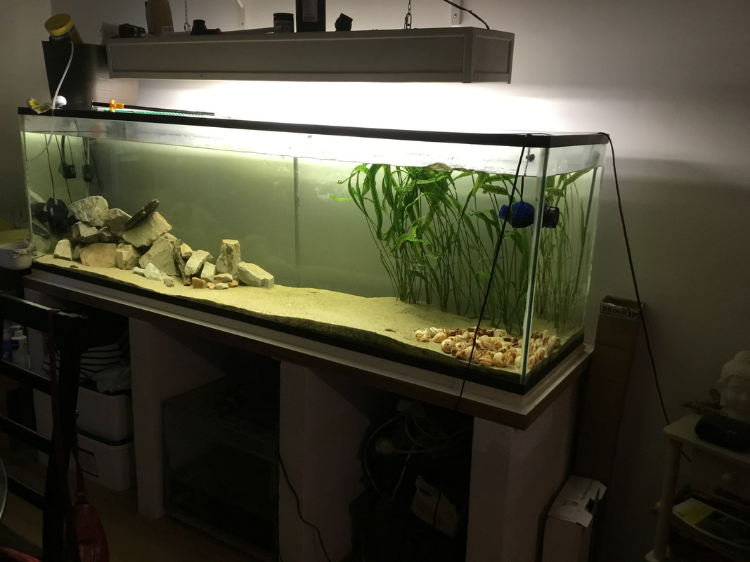 693777DE-A5E4-4A9D-A632-EF2373BA32D3