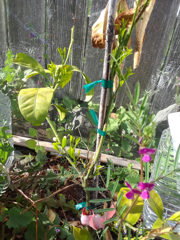 20180515_172859