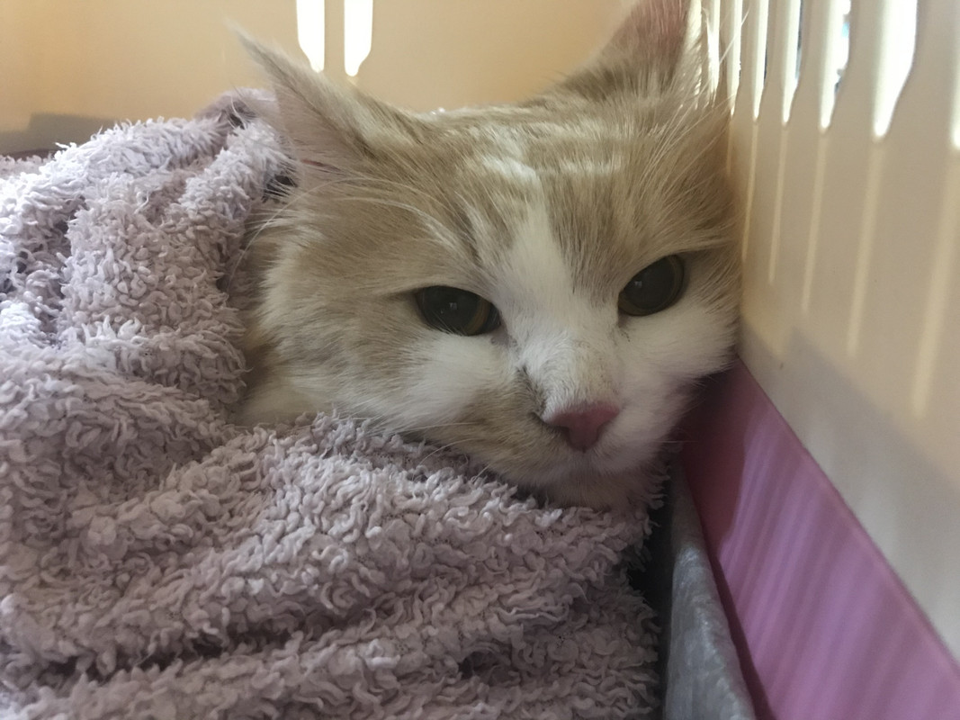 15B22039-D483-4D94-9032-C0893422AB1B