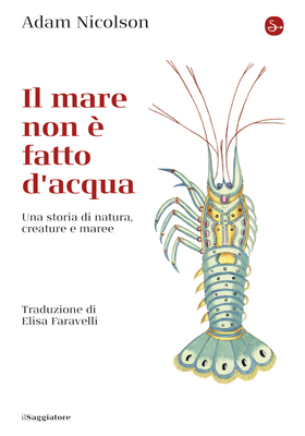 Adam Nicolson - Il mare non è fatto di acqua (2026)