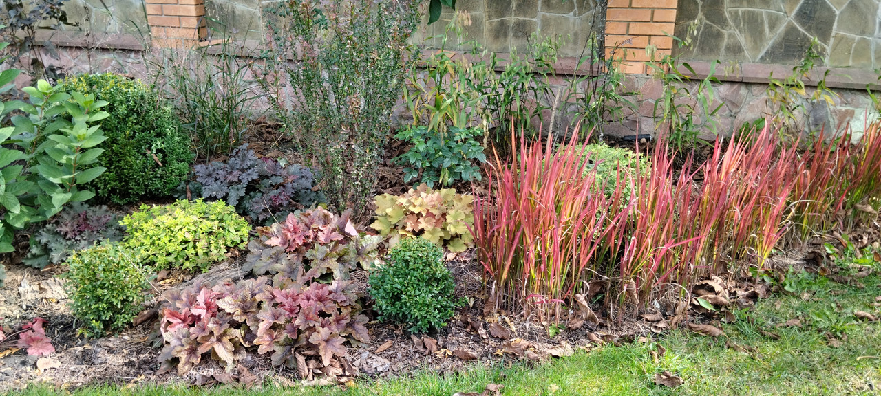 IMG-0e84f359f246bad90bd26cd1f4ff86d4-V (1)