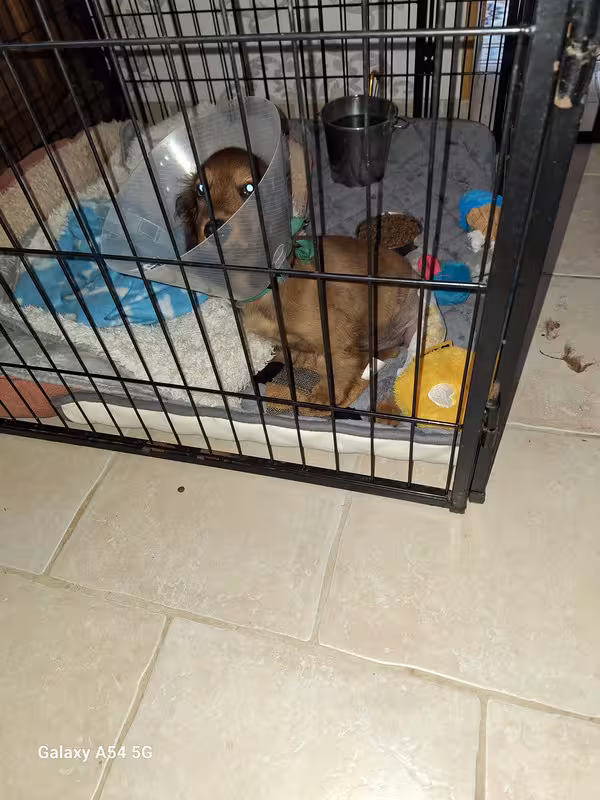 [Image: 20240912-090839.avif]