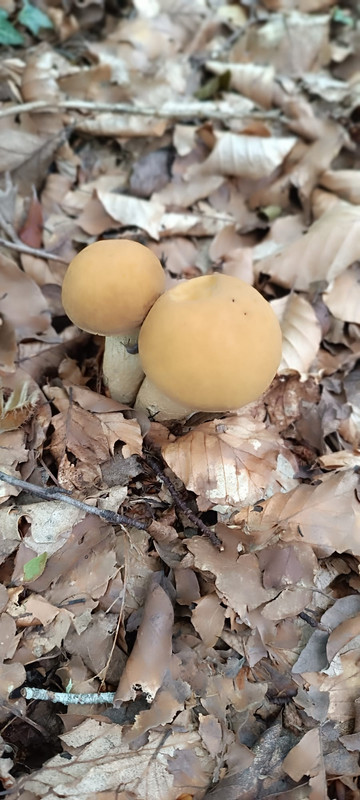 WhatsApp Image 2023-08-06 at 16.43.56 (1)