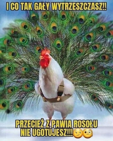 humor.jpg