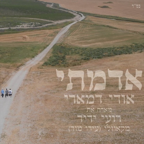 תמונה