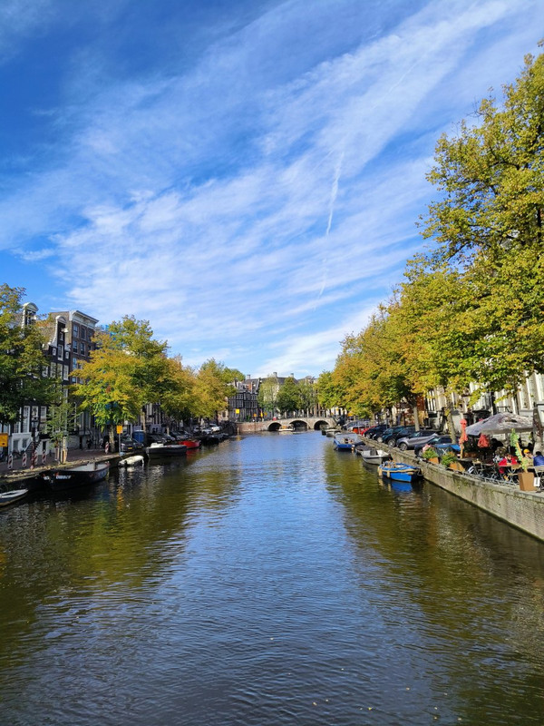 IMG_20240929_121709.jpg.f3b37b6f28ac2d935c60abde7cb660d6