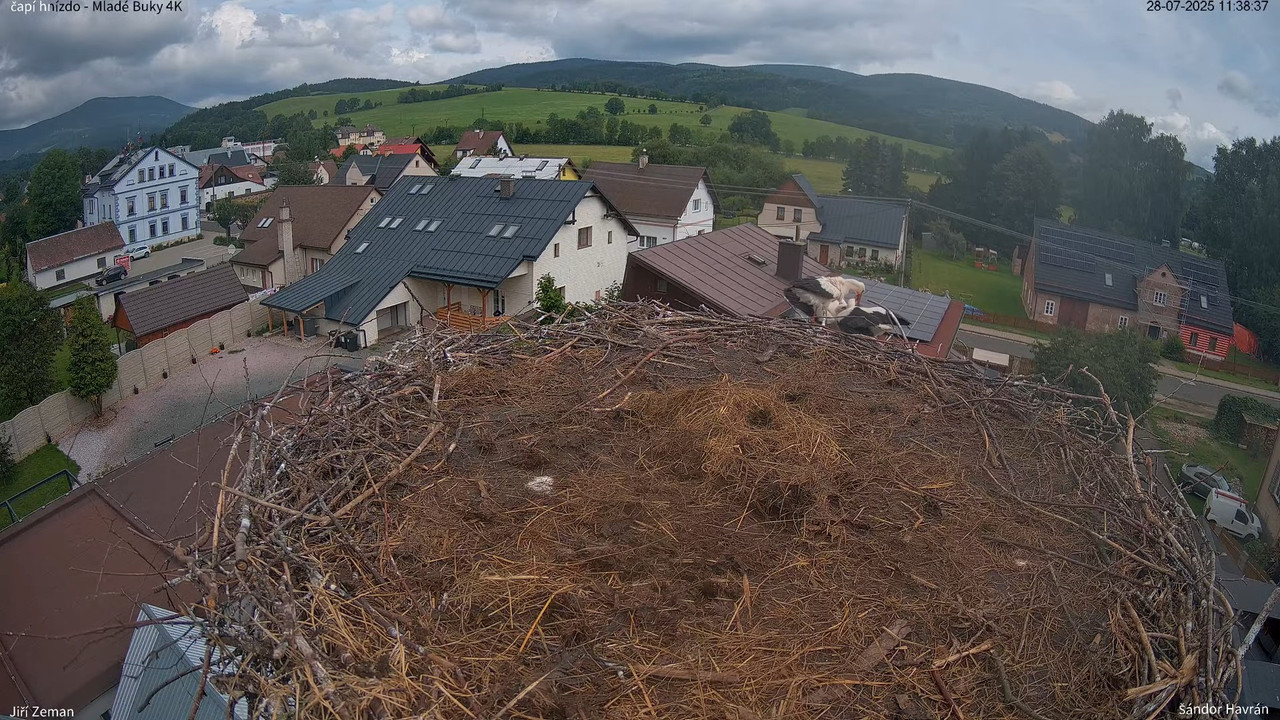 Tiešraides kamera — Mladé Buky — stārķa ligzda 4K 13-5-57 screenshot