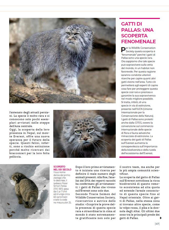 Ga Ma Apr-Mag 2023 (12)