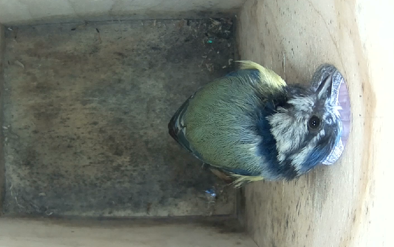 Untitled Project (Time 0_00_21;27)