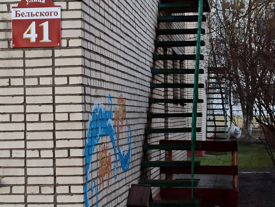 белая кошь1