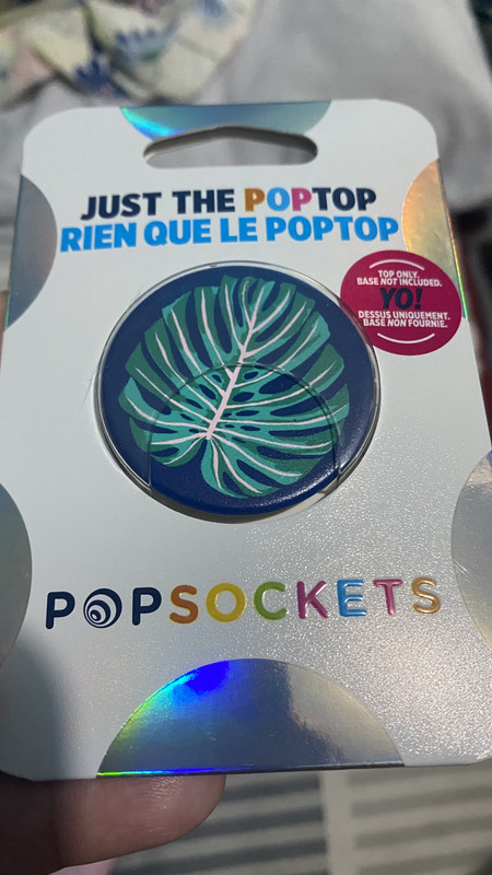 D37DE729-929E-4D44-BD59-77A2C218C89B