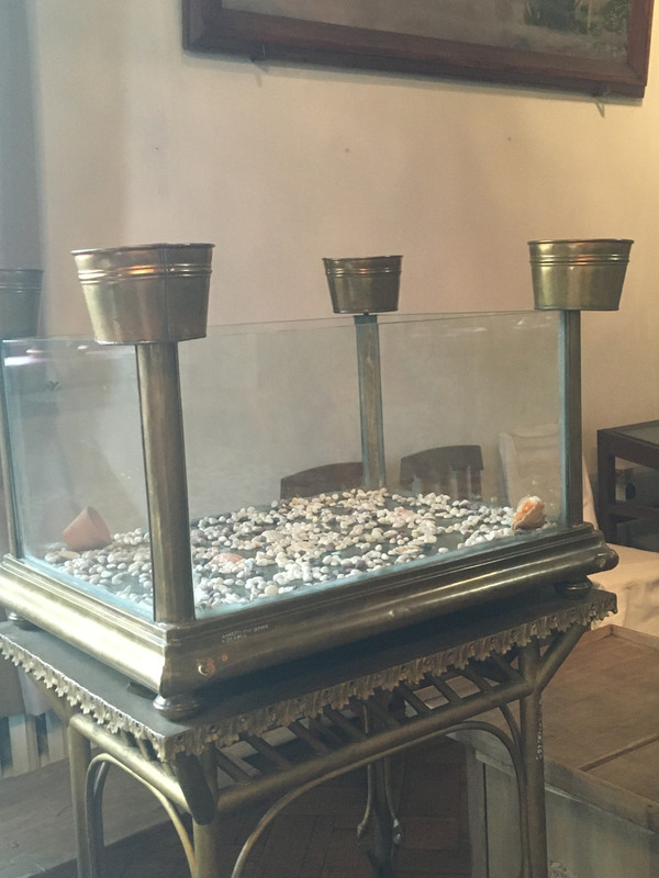 Разное и музей Васнецова 082